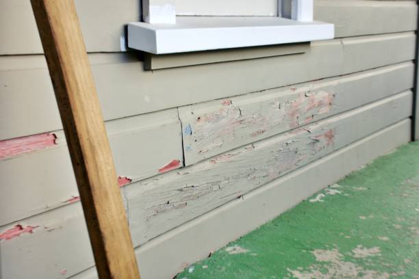 Best Stucco Siding  in USA